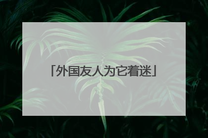 外国友人为它着迷