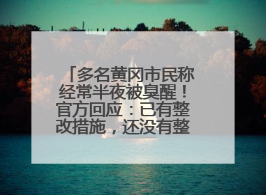 多名黄冈市民称经常半夜被臭醒！官方回应：已有整改措施，还没有整改情况