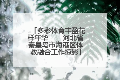 多彩体育丰盈花样年华——河北省秦皇岛市海港区体教融合工作掠影