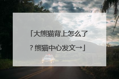 大熊猫背上怎么了？熊猫中心发文→