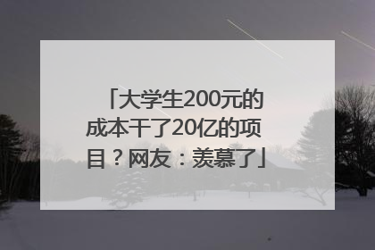 大学生200元的成本干了20亿的项目？网友：羡慕了
