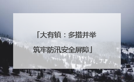 大有镇：多措并举筑牢防汛安全屏障