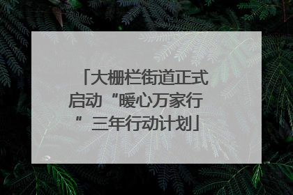 大栅栏街道正式启动“暖心万家行”三年行动计划