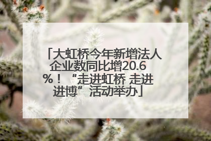 大虹桥今年新增法人企业数同比增20.6%！“走进虹桥 走进进博”活动举办