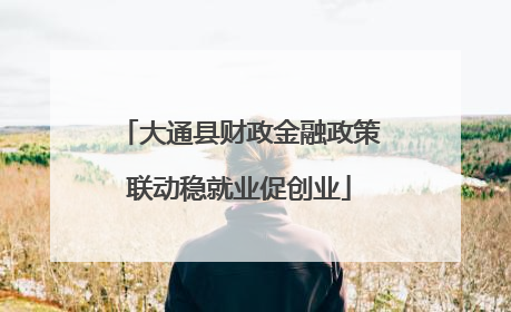 大通县财政金融政策联动稳就业促创业