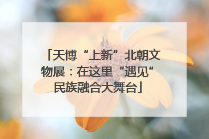 天博“上新”北朝文物展：在这里“遇见”民族融合大舞台