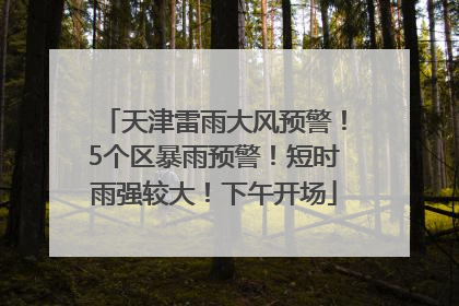 天津雷雨大风预警！5个区暴雨预警！短时雨强较大！下午开场