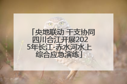 央地联动 干支协同 四川合江开展2025年长江-赤水河水上综合应急演练