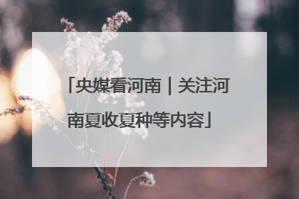 央媒看河南｜关注河南夏收夏种等内容