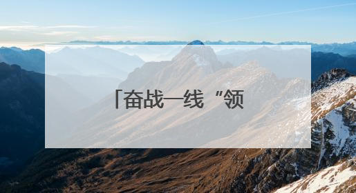 奋战一线“领头雁” 躬身实干“老黄牛”