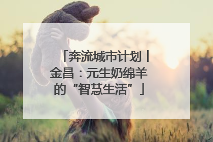 奔流城市计划丨金昌：元生奶绵羊的“智慧生活”