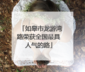 如皋市龙游湾路荣获全国最具人气的路