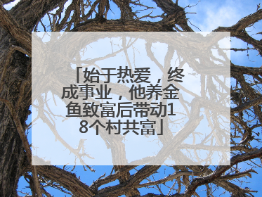 始于热爱，终成事业，他养金鱼致富后带动18个村共富