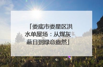 娄底市娄星区洪水单屋场：从煤灰蔽日到绿意盎然