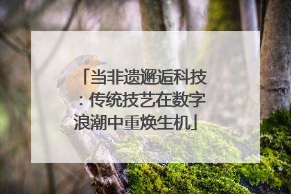 当非遗邂逅科技：传统技艺在数字浪潮中重焕生机