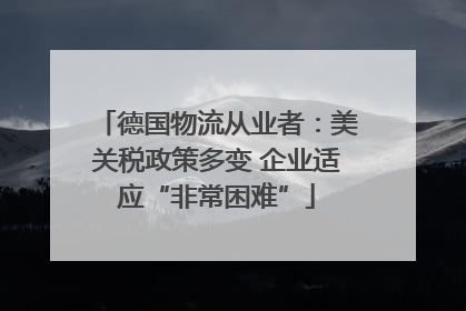 德国物流从业者：美关税政策多变 企业适应“非常困难”
