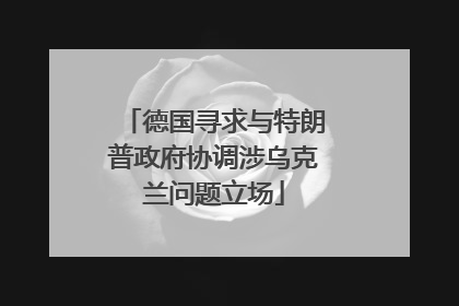 德国寻求与特朗普政府协调涉乌克兰问题立场