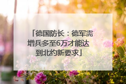 德国防长：德军需增兵多至6万才能达到北约新要求