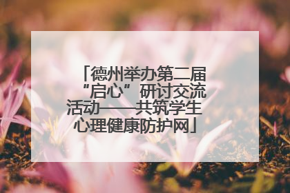 德州举办第二届“启心”研讨交流活动——共筑学生心理健康防护网