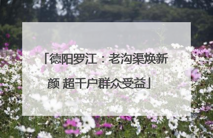 德阳罗江：老沟渠焕新颜 超千户群众受益