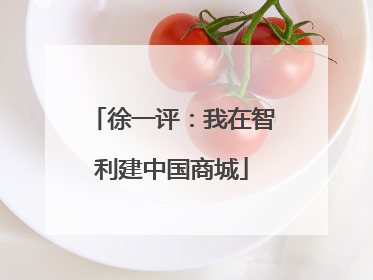 徐一评：我在智利建中国商城