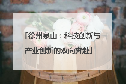 徐州泉山：科技创新与产业创新的双向奔赴