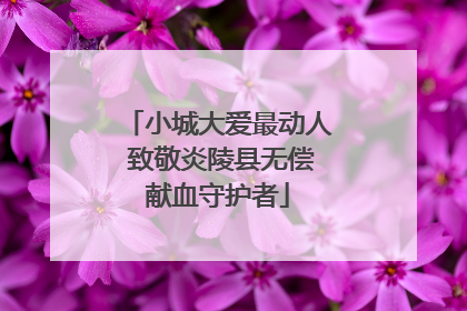 小城大爱最动人 致敬炎陵县无偿献血守护者