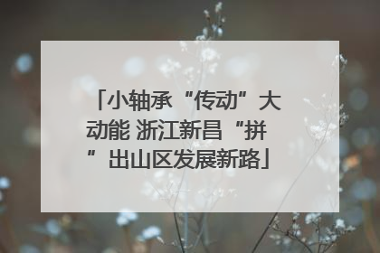 小轴承“传动”大动能 浙江新昌“拼”出山区发展新路