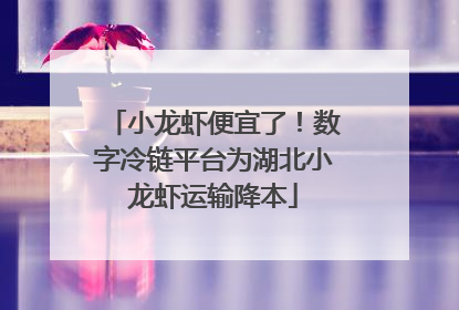 小龙虾便宜了！数字冷链平台为湖北小龙虾运输降本