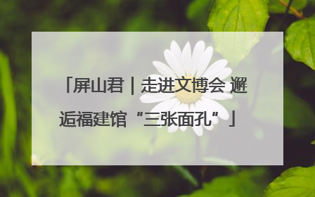 屏山君｜走进文博会 邂逅福建馆“三张面孔”