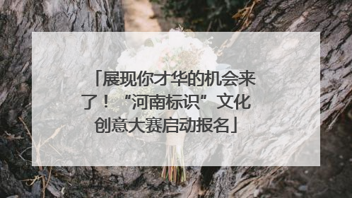 展现你才华的机会来了！“河南标识”文化创意大赛启动报名