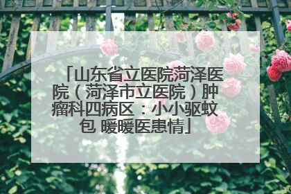 山东省立医院菏泽医院（菏泽市立医院）肿瘤科四病区：小小驱蚊包 暖暖医患情