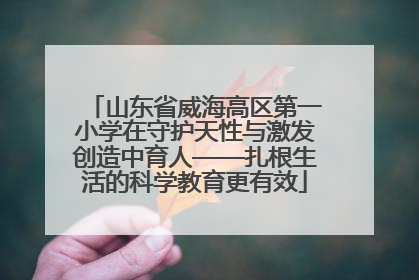 山东省威海高区第一小学在守护天性与激发创造中育人——扎根生活的科学教育更有效