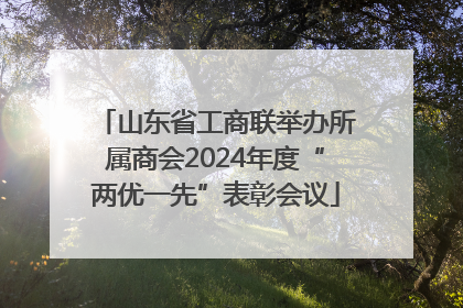山东省工商联举办所属商会2024年度“两优一先”表彰会议