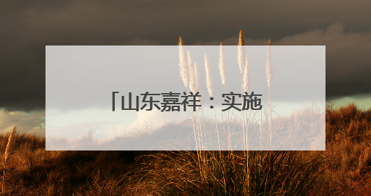 山东嘉祥：实施工业倍增 赋能经济高质量发展