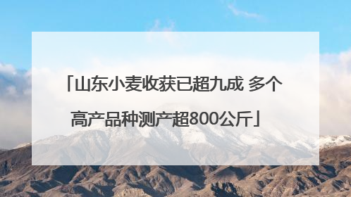 山东小麦收获已超九成 多个高产品种测产超800公斤