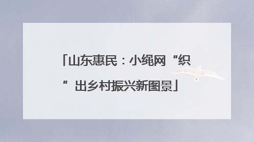 山东惠民：小绳网“织”出乡村振兴新图景