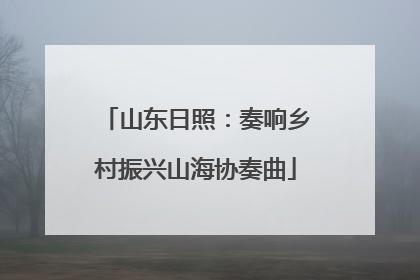 山东日照：奏响乡村振兴山海协奏曲