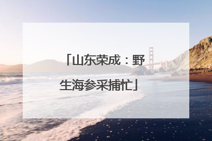 山东荣成：野生海参采捕忙
