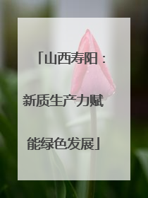 山西寿阳：新质生产力赋能绿色发展