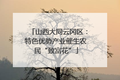 山西大同云冈区：特色优势产业催生农民“致富花”
