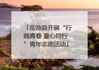 岳池县开展“行践青春 童心同行”青年志愿活动