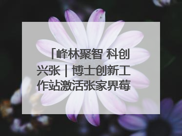 峰林聚智 科创兴张｜博士创新工作站激活张家界莓茶产业新动能