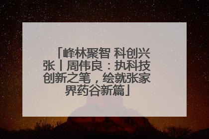 峰林聚智 科创兴张丨周伟良：执科技创新之笔，绘就张家界药谷新篇