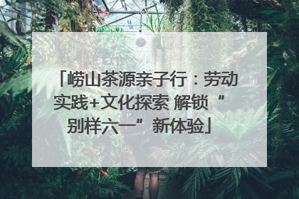 崂山茶源亲子行：劳动实践+文化探索 解锁“别样六一”新体验