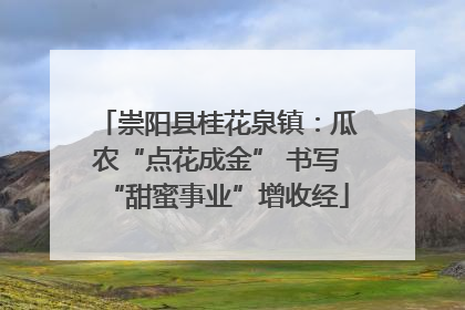 崇阳县桂花泉镇：瓜农“点花成金” 书写“甜蜜事业”增收经