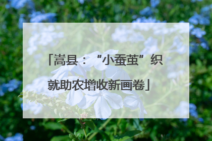 嵩县：“小蚕茧”织就助农增收新画卷