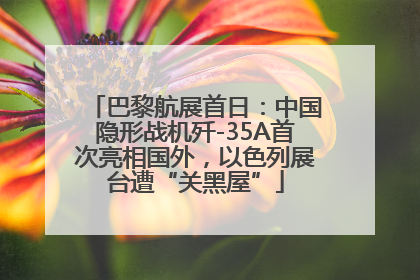 巴黎航展首日：中国隐形战机歼-35A首次亮相国外，以色列展台遭“关黑屋”