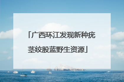 广西环江发现新种疣茎绞股蓝野生资源