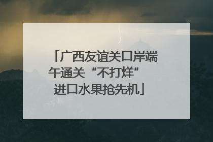 广西友谊关口岸端午通关“不打烊” 进口水果抢先机